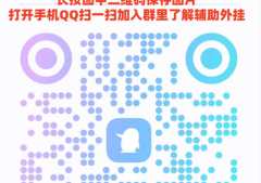 实测分享“小程序跑得快辅助器”(先付款后使用)-哔哩哔哩